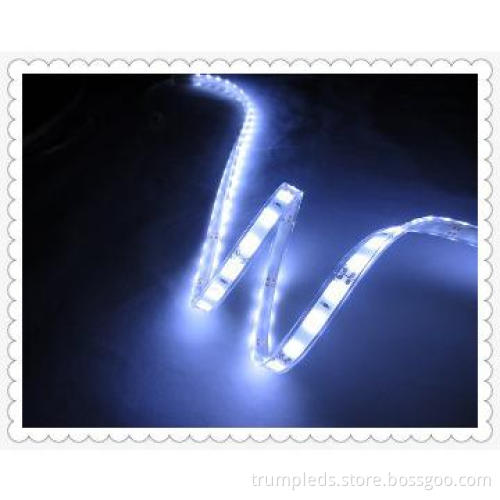 good price for led lights for vases